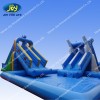 dolphin shape water slide with pool